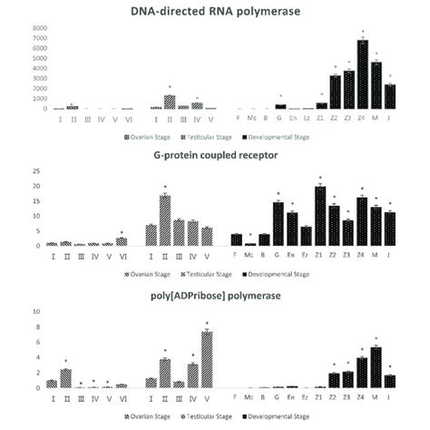 Quantitative Real Time Pcr Qpcr Analysis Of Potential Sex Related