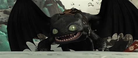 2481 Best Toothless Images On Pholder Httyd Cats Named Toothless And Aww