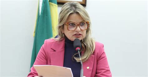 Comiss O Externa Da C Mara Dos Deputados Promove Audi Ncia P Blica Para