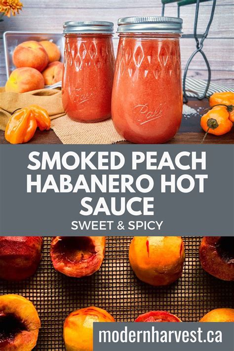 Super Hot Mango Habanero Sauce Recipe Diy Artofit