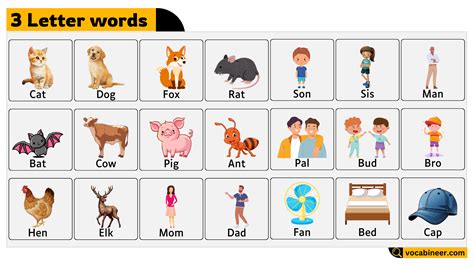 3 Letter English Words