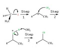 Organic Chemistry Mechanisms