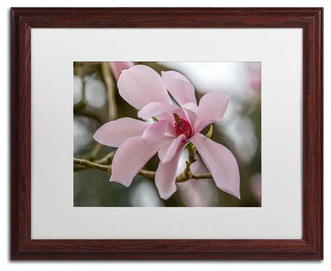 Magnolia Matted Framed Canvas Art By Pierre Leclerc 16 X 20