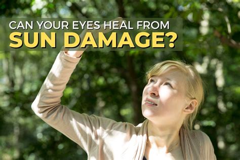 Can Your Eyes Heal From Sun Damage Ezontheeyes