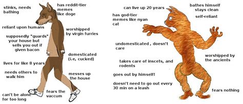 Chad cat vs the virgin dog : r/virginvschad