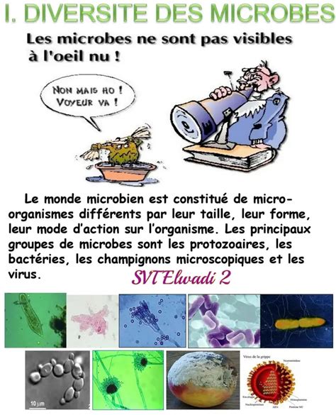 Re Ann E Secondaire Sciences Svt La Diversit Des Microbes Re