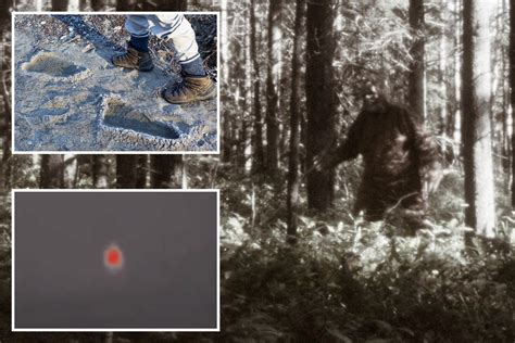 Possible Bigfoot sighting revealed as scientists hunt for 'apelike ...