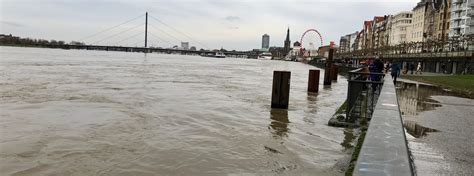 D Sseldorf Bilder Vom Hochwasser Rheinpegel Sinkt Wieder