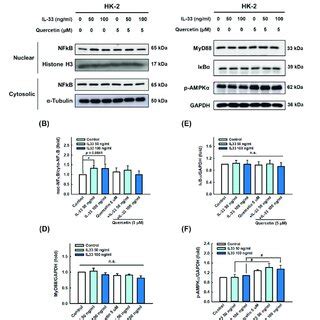 Quercetin Regulated The Expression Of Inflammation Related Proteins In