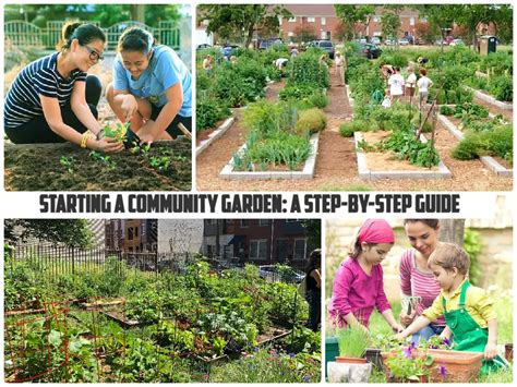 How To Start A Community Garden A Step By Step Guide