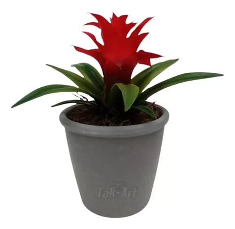 Bromélia Flor Planta Artificial Arranjo Completo No Vaso