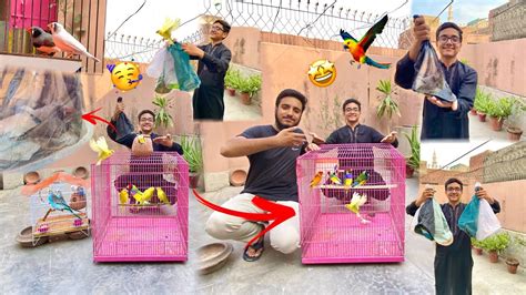 Big Cage Ka Liya Finches La Aaya🥳 Ab Buhat Jald Colony Ban Jaey Gi🤩