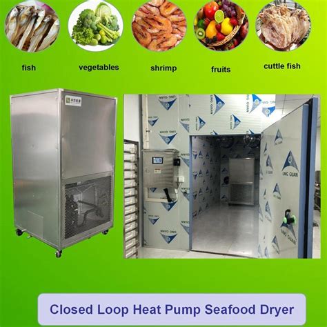 Sardine Fish Squid Shrimp Cold Drying Dryer Machine Dried Sea Cucumber