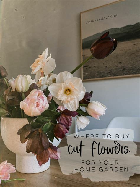 backyard cut flower business 1