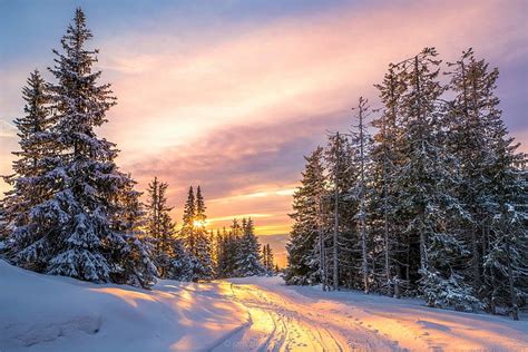 HD wallpaper: Earth, Winter, Forest, Road, Snow, Sunset, cold temperature | Wallpaper Flare