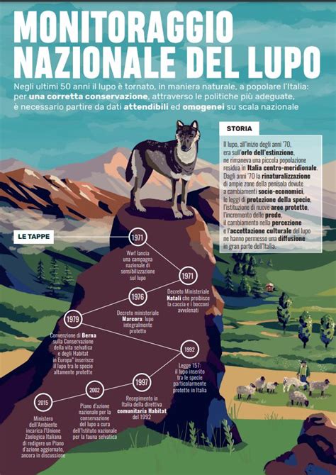 Un Infografica Di Ispra Racconta Il Monitoraggio Del Lupo L Esperta