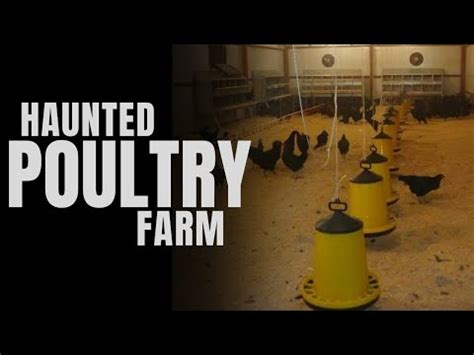 Haunted Poultry Farm Horror Story Urdu Hindi Horror Nights With