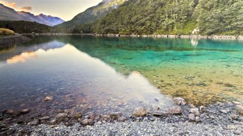 Blue Lake In Nelson New Zealand The Clearest Lake In The World