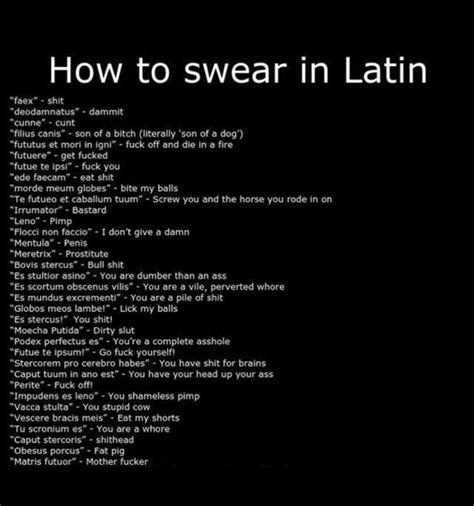 Latin Swears Latin Phrases Latin Language Learning Latin Quotes