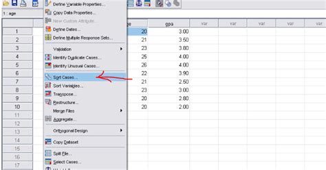 How To Analyze Data Using Spss Part 4 How To Sort Data In Spss