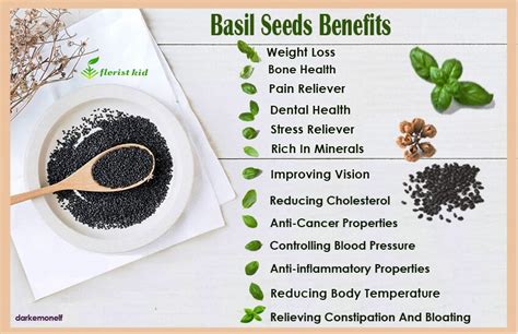 17 Unbelievable Basil Seeds Benefits Side Effects