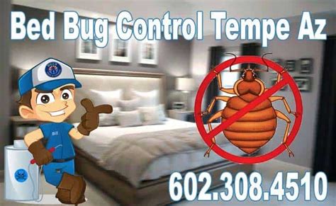 Best Bed Bug Control Tempe Az Bed Bug Pest Control Exterminator