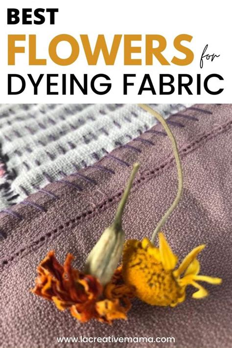 Best Flowers For Dyeing Fabric La Creative Mama