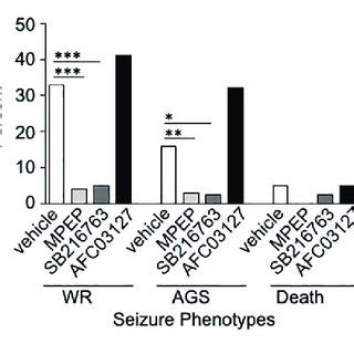 Gsk Inhibitors Rescue Dendritic Spine Morphology Phenotypes In Fmr