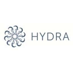 Hydra Strategy Crunchbase Company Profile Funding