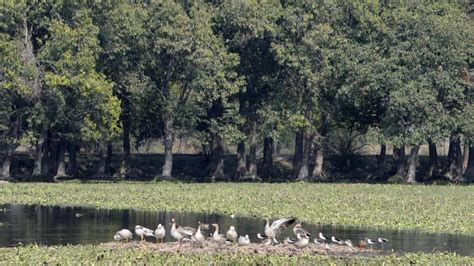 India Adds 10 New Wetlands To The Ramsar Sites List Details Latest