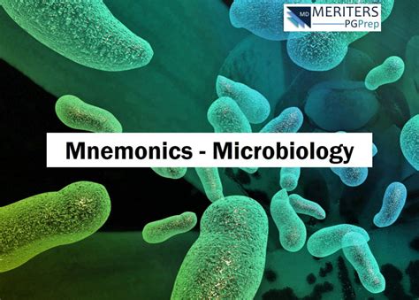 NEET PG Microbiology Mnemonics