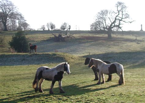 The Park Eppleworth Grange Paul Glazzard Cc By Sa 2 0 Geograph