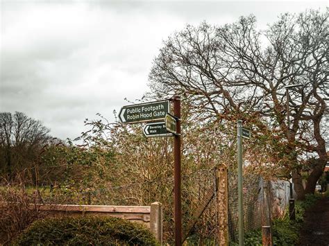 A Guide To The Beverley Brook Walk London She Walks In England