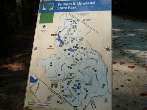 Umstead Park Reedy Creek And Reedy Creek Lake Trails