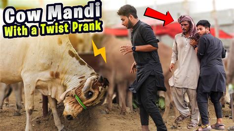 Cow Mandi With A Twist Prank Zaid Chulbula YouTube