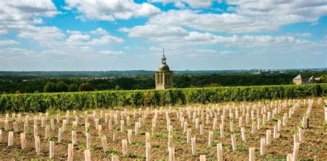 There’s a Loire Valley appellation that you might not know of just yet ...