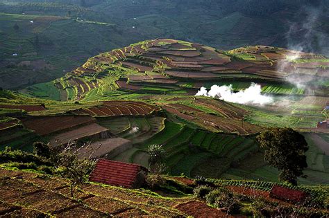 KODAI TRAVELS | Kodaikanal Kuzhanthai Velappar Temple