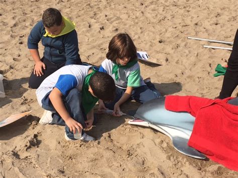 Ajuntament De Canet De Mar Els Alumnes De L Escola FEDAC Fan Una