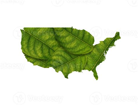 USA Map Made Of Green Leaves Ecology Concept 27720480 PNG