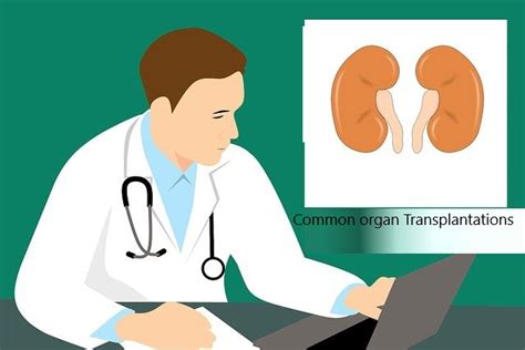 Common Examples of organ Transplantations-Eduinput