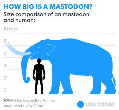 Mich. mastodon most complete skeleton found in decades