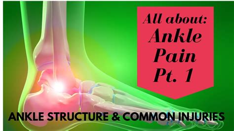 Ankle Pain Pt 1 Structure Overview The Multiple Causes Of Pain