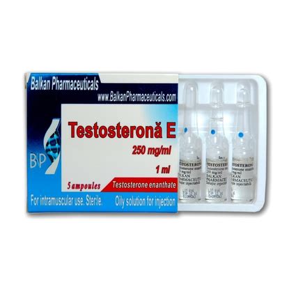 Testosterona E Testosterone Enanthate Steroids Online Balkan