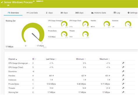 Windows Process Sensor Prtg Manual
