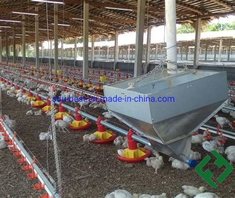 Ec Chicken Shed Automatic Poultry Farm In India With Climate Controller