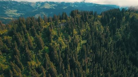 ТЕРМОДРЕВЕСИНА |ФАСАДЫ | ТЕРРАСЫ | НАВЕСЫ | СПБ