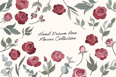 Premium Vector Hand Drawn Red Rose Flower Arrangement