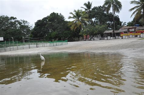 Lagoa Dos Tambaquis Est Ncia Sergipe Ajn