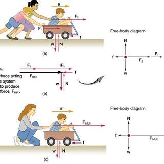 Pdf Dynamics Force And Newton S Laws Of Motion