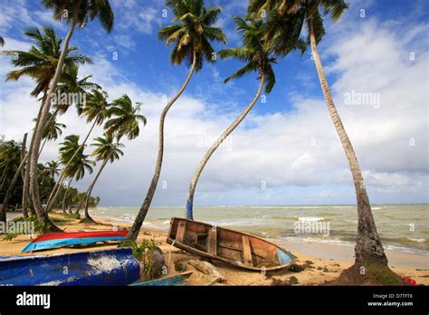 Las Terrenas Beach Samana Peninsula Dominican Republic Stock Photo